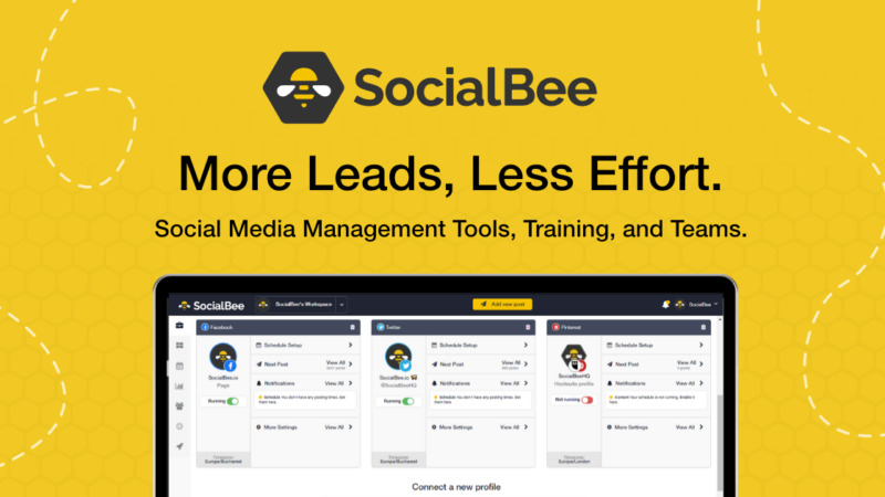 Social Bee Review