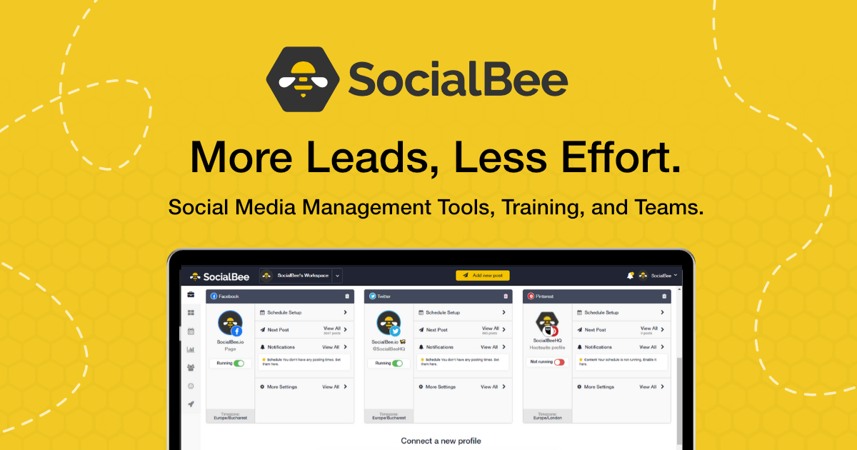 Social Bee Review